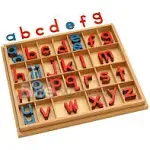 Elite Montessori Wooden Movable Alphabet with Box