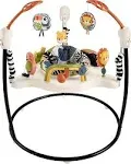 Fisher Price Jumperoo Activity Center, Palm Paradise