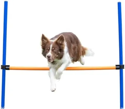 Dog Agility Hurdle Trixie