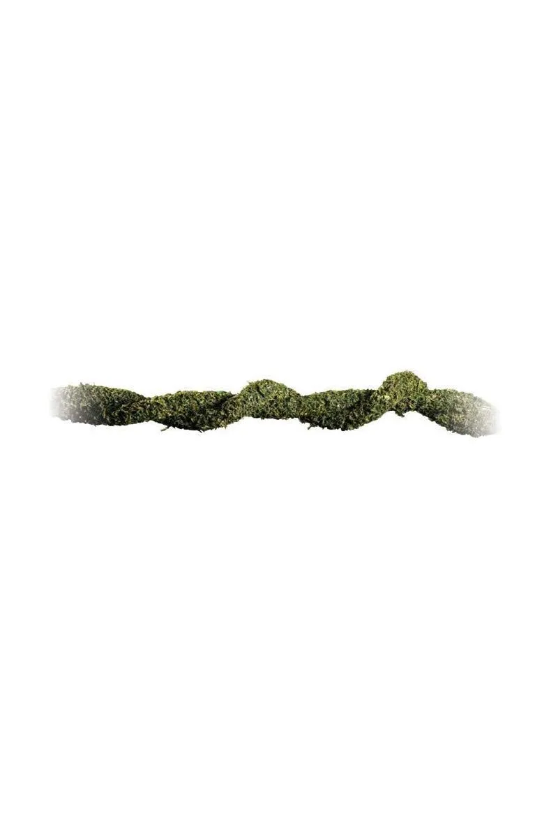 Exo Terra Bendable Moss Vine