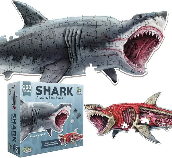 Puzzle: Animal Anatomy: Floor Puzzle: Shark 100pc