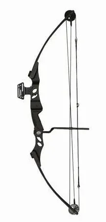 SAS Siege Compound Target Bow