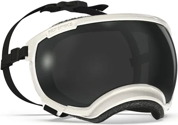 Rex Specs V2 Dog Goggles