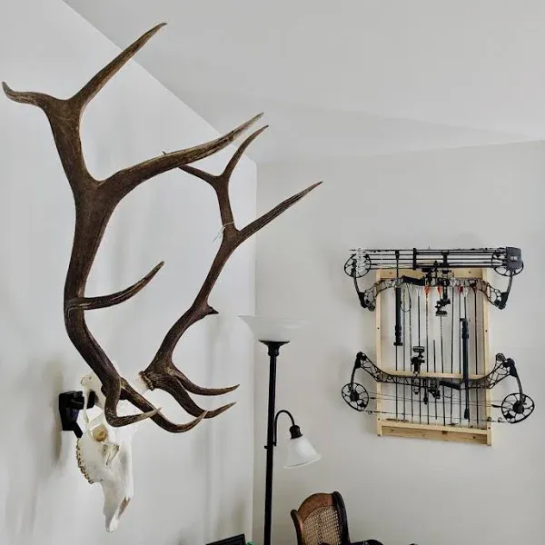 Top Rack European Skull Mount Hangers (ELK: Raging Bull)