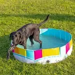 BigMouth Inc Foldable Dog Pool Collapsible Hard Plastic Pet Swimming Pool Portable Dog Bath Tub Kiddie Pool for Small Medium Dogs Cats Kids 47" Rainbow