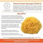 Natural Sea Sponge Small 4-5" by Spa Destinations Creating The Perfect Bath and Shower Experience Amazing Natural Renewable Resource!