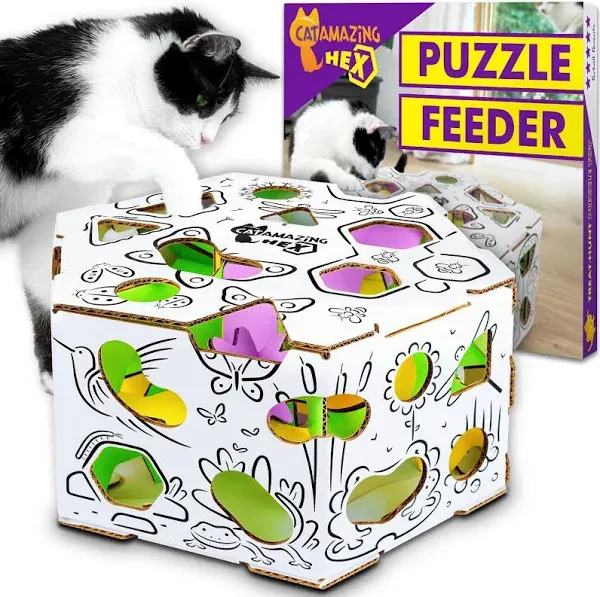 Cat Amazing Hex Interactive Treat Maze