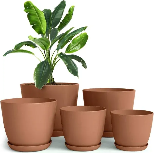 Utopia Home - Plant Pots