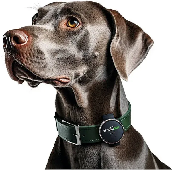 Tracki Dog GPS Tracker Tiny &amp; Light Waterproof Fits All Pet Collars,... 