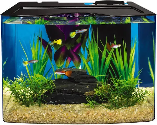 Tetra Crescent STEM Aquarium Kit 3 Gallons, Curved-Front Fish Tank with LEDs and STEM Activity Guide