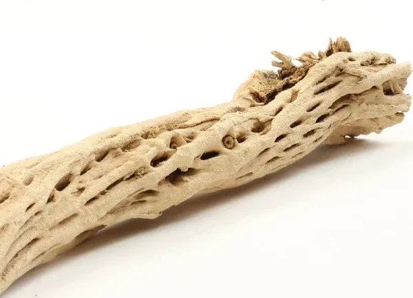 Koyal Wholesale Cholla Wood Aquarium Branches