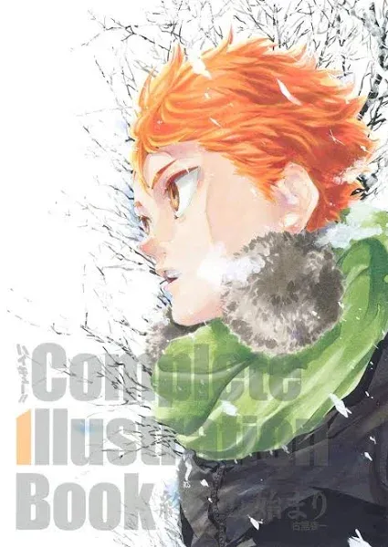 Haikyu !!: Complete illustration book [Book]