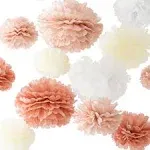 Vidal Crafts 20 Pcs Party Tissue Paper Pom Poms Set - Dusty Pink Tissue Paper Flowers Decorations for Birthday Party, Bachelorette, Bridal Shower