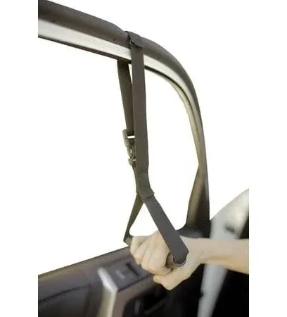 Able Life Auto Assist Handle Supports 250 Lbs 8110