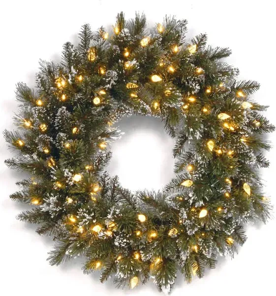 National Tree Company 24 Glittery Bristle Pine Wreath with Warm White LED Lights