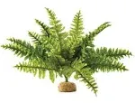 Exo Terra Boston Fern Terrarium Plant