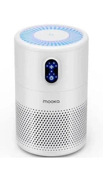 Air Purifiers for Home Large Room