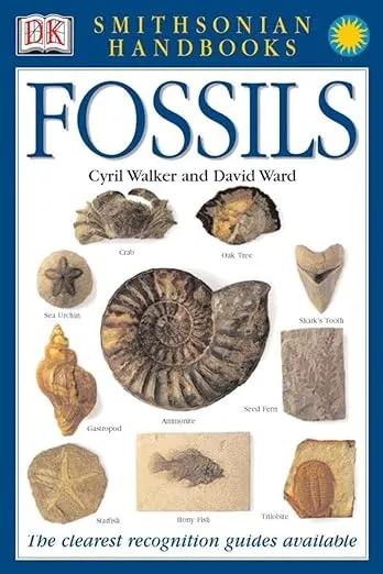Handbooks: Fossils: The Clearest Recognition Guide Available (DK Smithsonian Handbook)