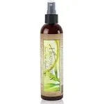 Head Hunters Natural Lice Products Lemon Heads Spray (8oz)