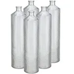 BEV by BLACK+DECKER Cocktail Maker Glass Liquor Dispenser Bottles, Dishwasher Safe, 5 Pack