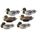 Heyday HydroFoam Flocked Mallard 6-Pack