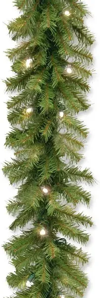 National Tree Company Pre-Lit Artificial Christmas Garland, Green, Norwood Fir, White Lights, Plug In, Christmas Collection, 9 Feet