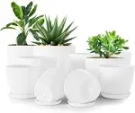 Utopia Home Plant Pots Indoor with Drainage 76665348 Inches Home Decor Flower Pots for Indoor Planter Plastic Plant