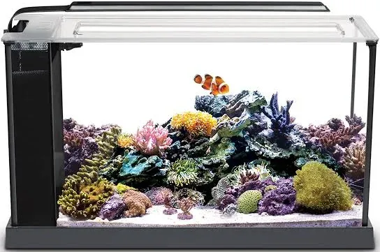 Fluval Sea Evo V Saltwater Fish Tank Aquarium Kit, Black, 5 gal, 10528A1