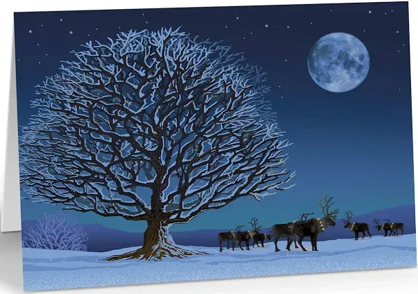 Stonehouse Collection Reindeer Under Moonlight Christmas Card - 18 Boxed Holiday Cards & Envelopes - Winter Night (Standard)