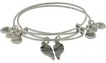 ALEX AND ANI Wings Charm Set of 2