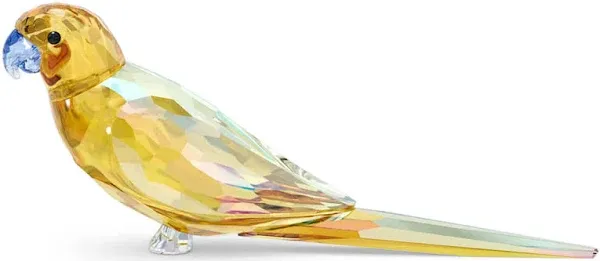 Swarovski Jungle Beats Yellow Parakeet Lechee