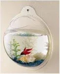 Lightweight 11.5-Inch Round Acrylic Fish Bowl for Indoor Decor and Fish Keeping