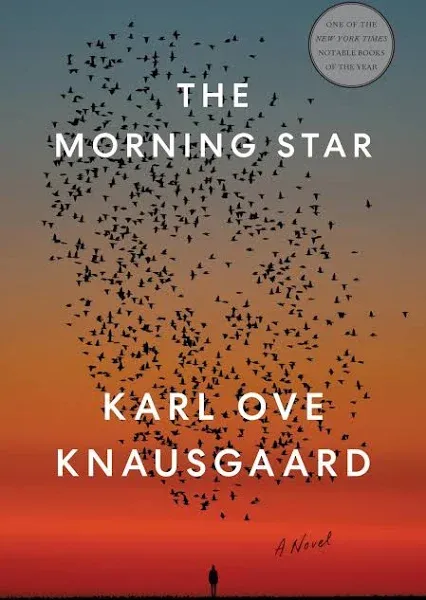 The Morning Star: A Novel