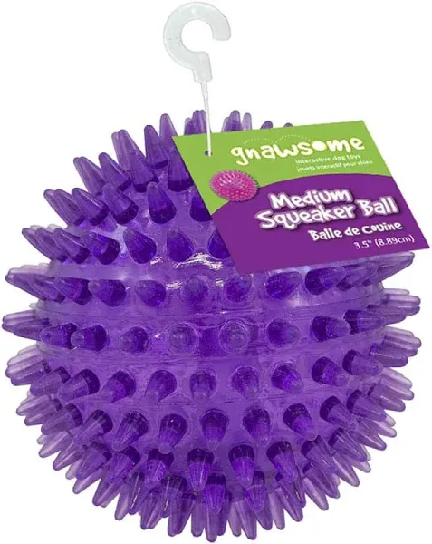 Gnawsome Medium Squeaker Ball Dog Toy