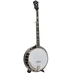 Recording King Bluegrass Series RK-R20 Songster Banjo