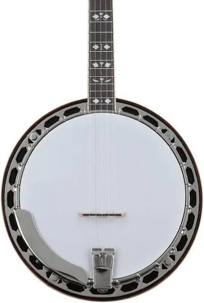 Recording King Bluegrass Series RK-R20 Songster Banjo