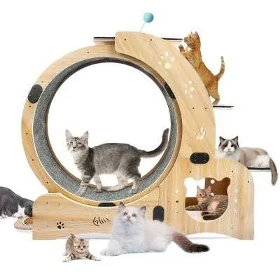 Cat Exercise Wheel for Indoor Cats, Cat Wheel 4-in-1 Cat Exercise Wheel, Large Cat Treadmill, Cat Running Wheel with Silent Wheel, Cat Walking Wheel Cat Furniture Cat Toys