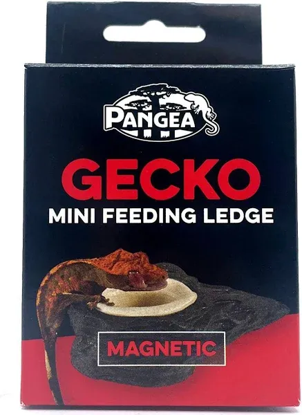 Pangea Mini Magnetic Gecko Ledge