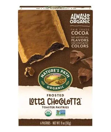 Nature's Path Organic Frosted Lotta Chocolotta Toaster Pastries