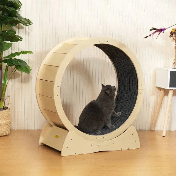 COZIWOW Cat Exercise Wheel