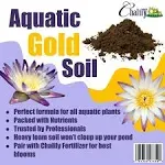 Chalily Aquatic Gold Soil