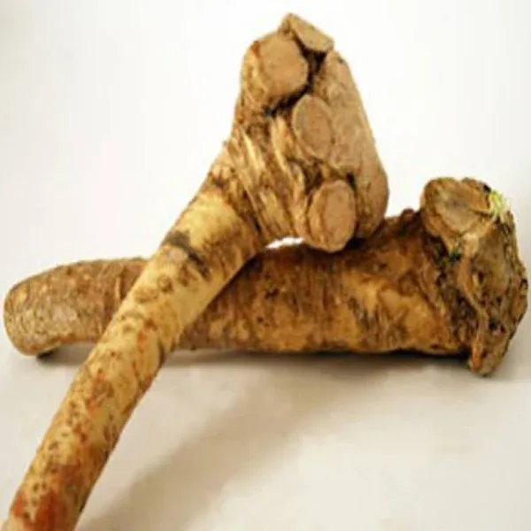 Horseradish Roots Natural, 1/2 pound/8 ounces,(USA Only,Can Not be shipped internationally) Ready For Planting or Preparing As Sauces or Dressings etc. JACOBS LADDER