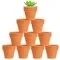 10 Pack 2.5 inch Mini Terra Cotta Pots with Drainage Holes, Small Clay Flower Pots for Plants, Succulents