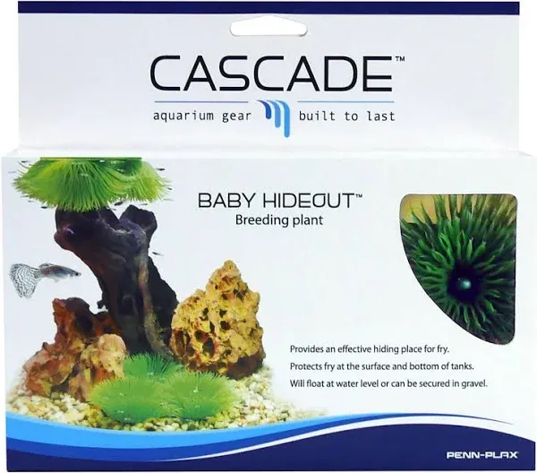 BABY HIDEOUT BREEDING GRASS