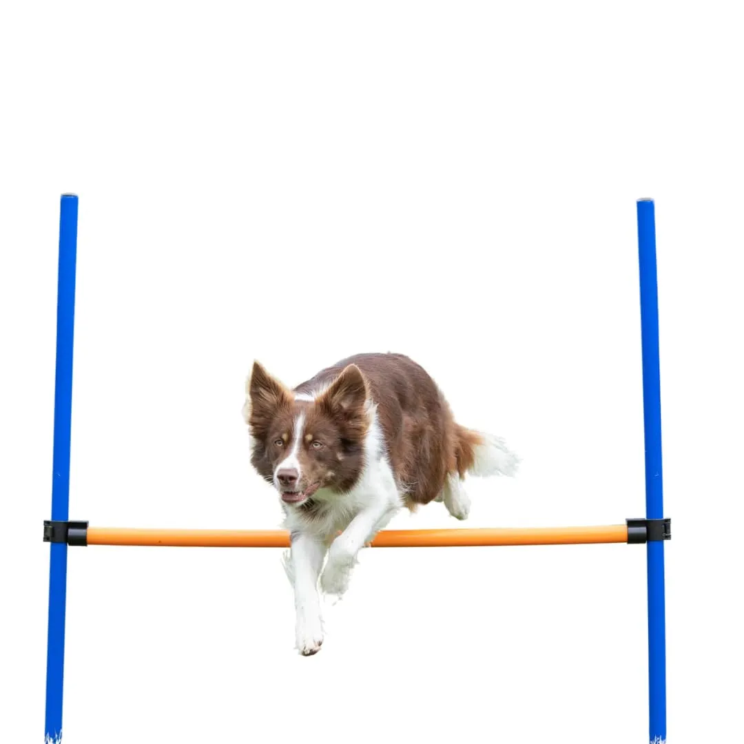 Dog Agility Hurdle – Dog Jump with Height Adjustable Crossbar, Dog Agility Hu...