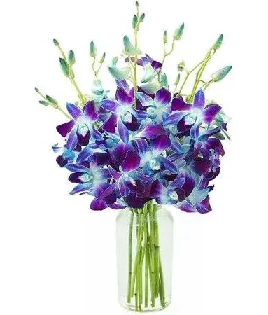 KaBloom Bouquet of Fresh Blue Orchids with Vase