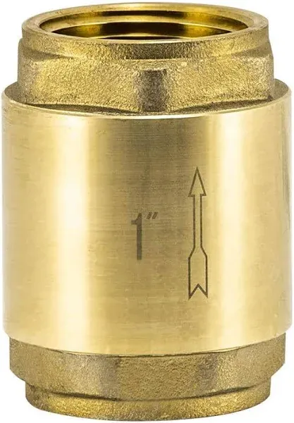 EZ-FLO Brass In-Line Check Valve, 1 Inch IPS, Stainless Steel Spring, 20405LF