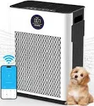 Air Purifier,FRESHDEW Air Purifiers for Home Up to 2300ft² with Smart WiFi,Air Quality and Sensors,Washable Filters Double-Sided Air Inlet,H13 HEPA