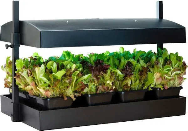 SunBlaster T5 Grow Light Garden