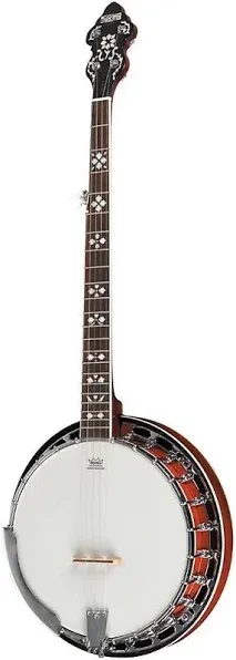 Recording King Bluegrass Series RK-R20 Songster Banjo